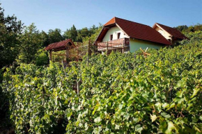 Holiday home in Otocec Kranjska Krain 26062